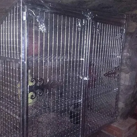 Réka Vendéghàz Tokaj